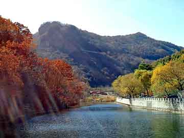 大三巴一肖二码最准，猛鬼山坟